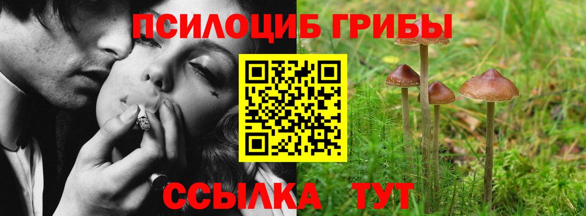Псилоцибиновые грибы прущие грибы Дзержинск